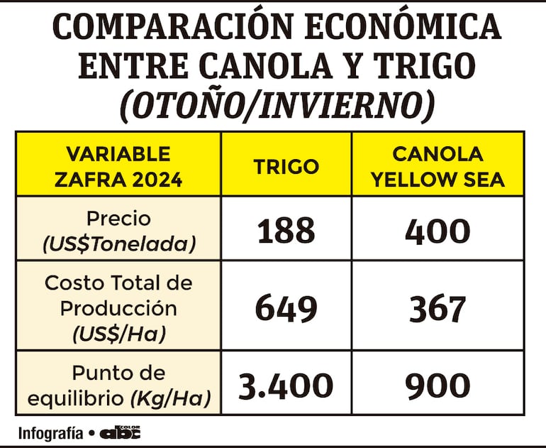 Comparación económica entre canola y trigo