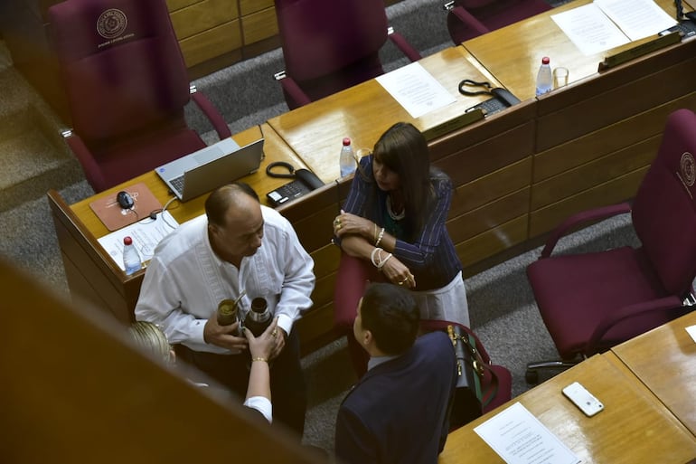 La senadora Celeste Amarilla resaltó que ningún senador suplente es legítimo porque no fueron votados por el pueblo.