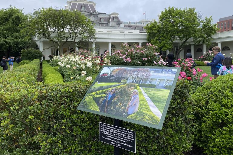 Una fotografía de la primera dama de Estados Unidos, Jill Biden (d) y la nieta del sindicalista César Chávez, Julie Chávez Rodríguez (i) cultivando rosas, ubicada en un jardín de la Casa Blanca.