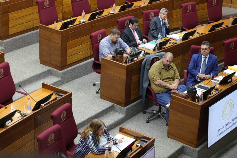 La titular de la Seprelad, Liliana Alcaraz junto con los miembros de la comisión "garrote" presidida por el senador expulsado del PLRA, Dionisio Amarilla.