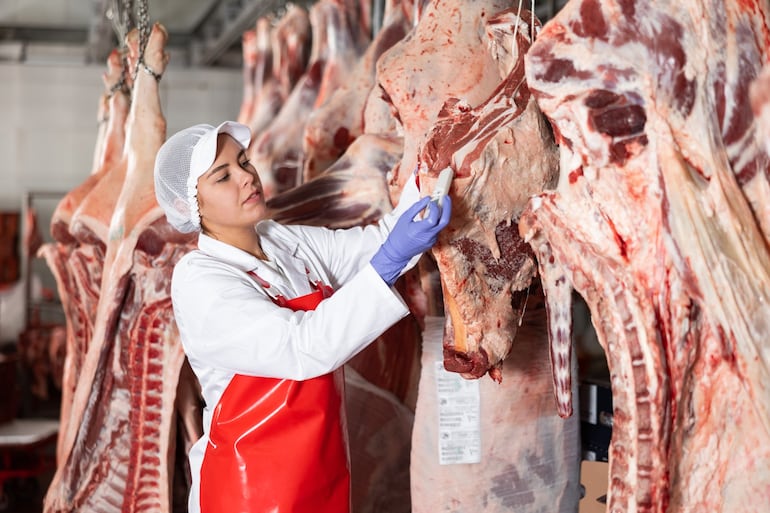 La carne asada es uno de los comidas típicas del país.