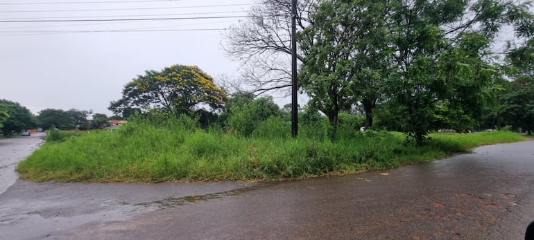 Junta Municipal de San Juan Bautista, Misiones, insta a propietarios de terrenos en estado de abandono a limpiarlo, para evitar la proliferación del dengue o cualquier otro tipo de alimañas.