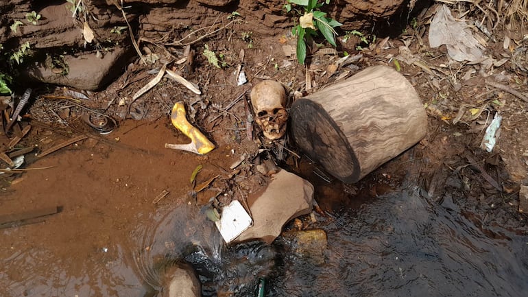 Cráneo hallado en un arroyo de Pedro Juan Caballero.