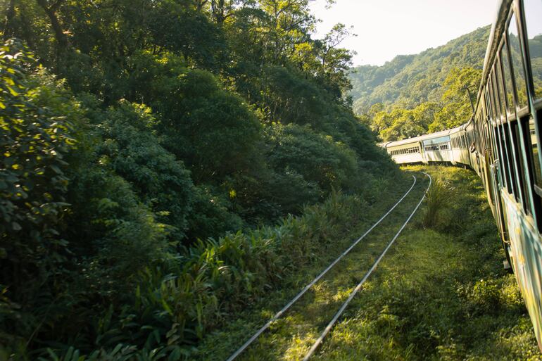 Tren da serra cruzando el bosque de Curitiba hacia la ciudad de Morretes en Paraná, Brasil.