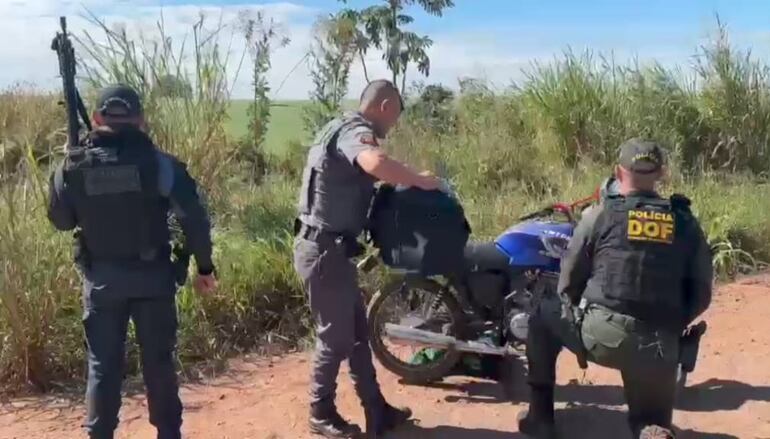 Efectivos del Departamento de Operaciones Fronterizas (DOF) proceden a contabilizar los paquetes de marihuana tipo Skunk que transportaba el motociclista (Captura de Vídeo).