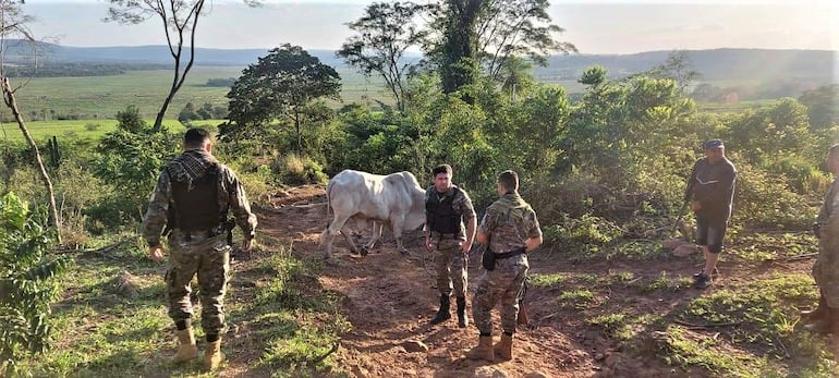 El flagelo de hurto de animales preocupa a ganaderos del departamento de Paraguarí.