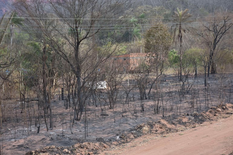 Lluvias generan alivio en los estados bolivianos afectados por incendios forestales.