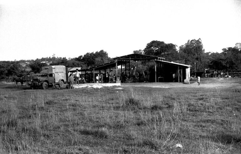 Preparando exportaciones cárnicas en 1970.