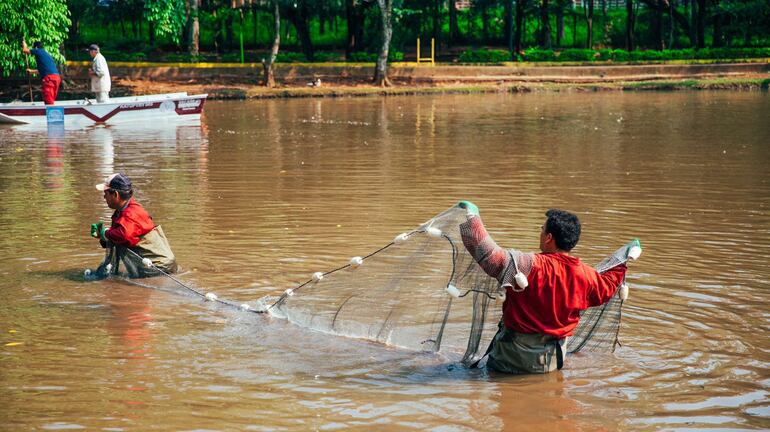 Profesionales de la Facultad de Ciencias Veterinaria de la Universidad Nacional de Asunción (UNA) iniciaron los trabajos de intervención dentro de la laguna de la ciclovía.