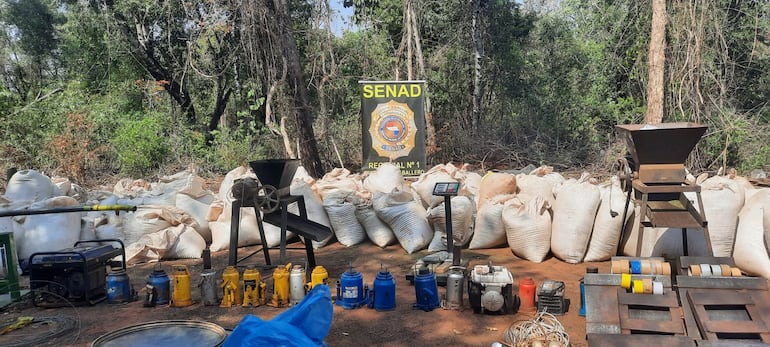 Evidencias incautadas en uno de los procedimientos de la Senad en Amambay y San Pedro.