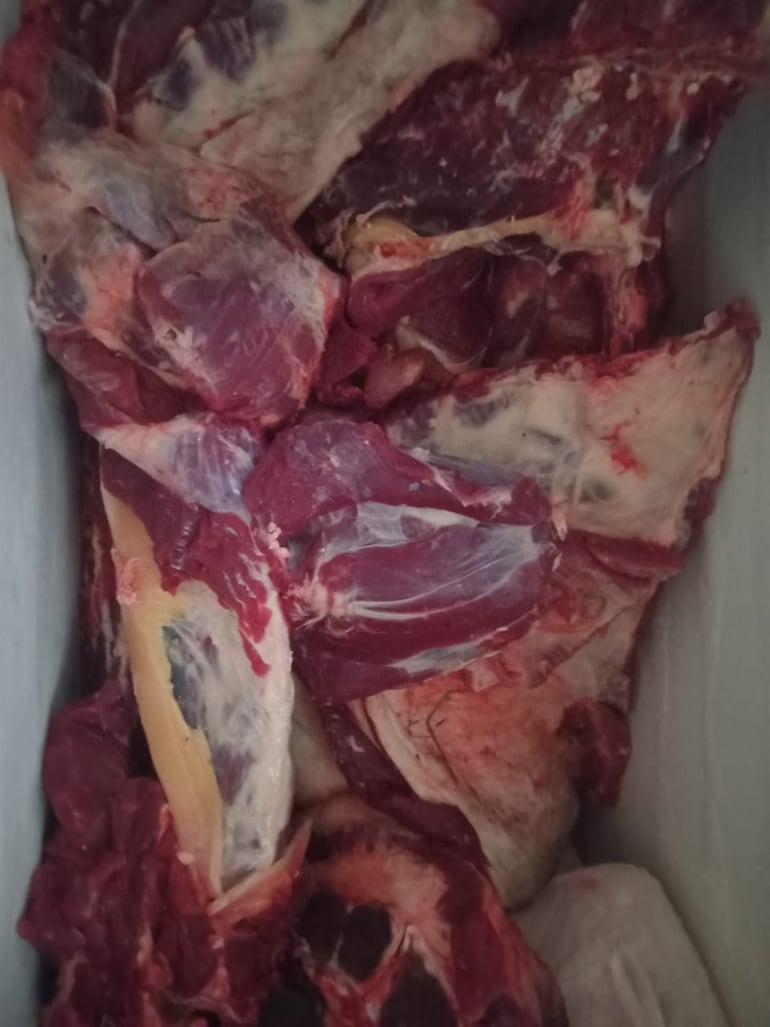 Durante el procedimiento de la Brigada Antiabigeato, se incautaron 150 kilos de carne.