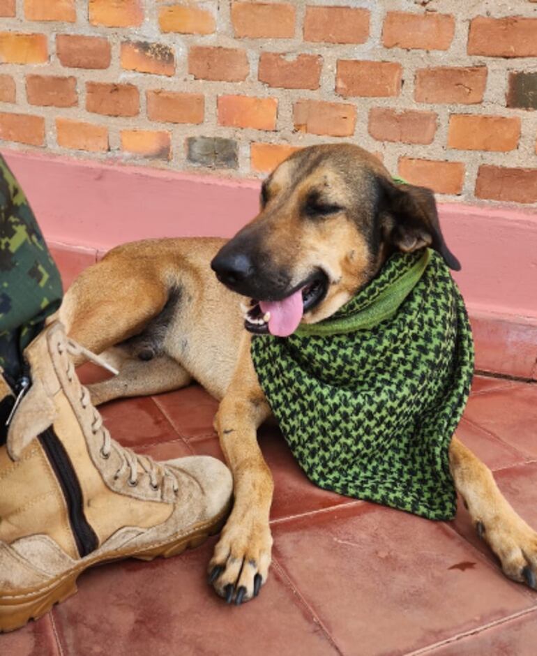 “Aca” era la mascota de Antonio Bernal Maíz pero ahora es el mejor amigo del Comandante de la FTC.