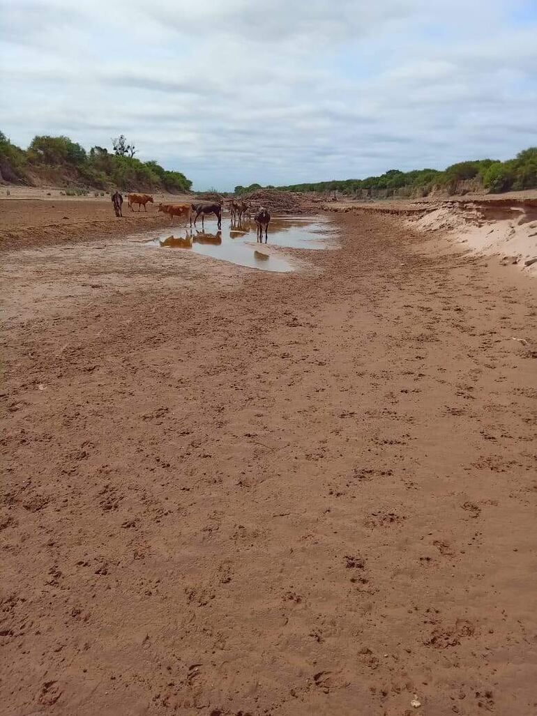 Uno de los brazos del Rio Pilcomayo secos, algunos animales beben lo que queda de agua. 