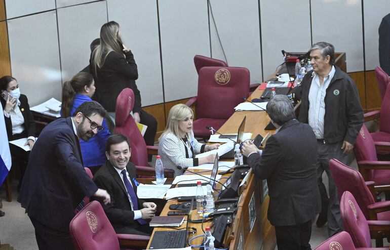 Sesión de la Cámara de Senadores.