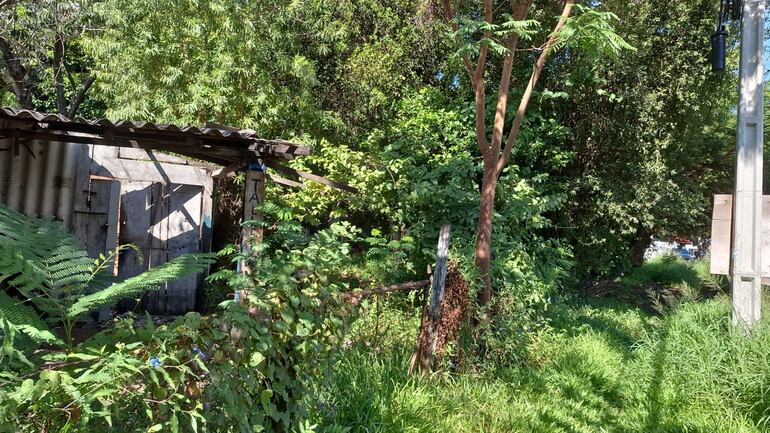 Casilla abandonada donde se encuentran todo tipo de alimañas al lado de la institución educativa Julio Correa.