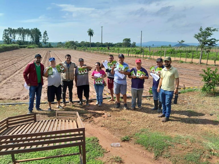 Productores ya recibieron la semilla para la siembra de cebolla en los distritos de Caballero, Ybytymí y La Colmena.