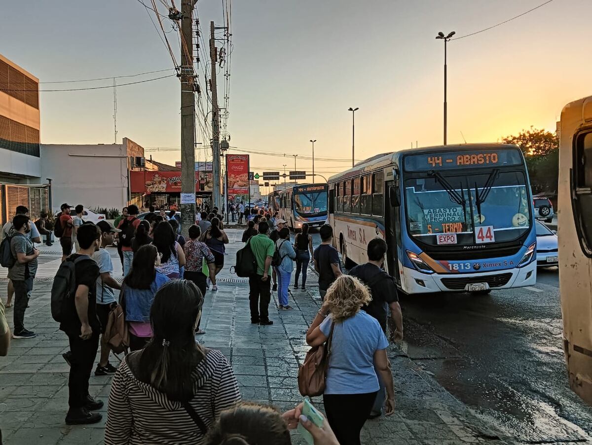 Paro de transporte: Nenecho autoriza buses del interior para cubrir itinerarios en Asunción