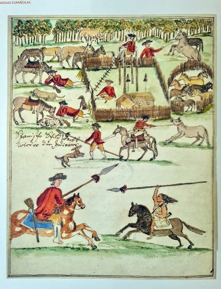 Caballería española durante la conquista y colonización. Los perros siempre presentes. Grabado de Florián Paucké.