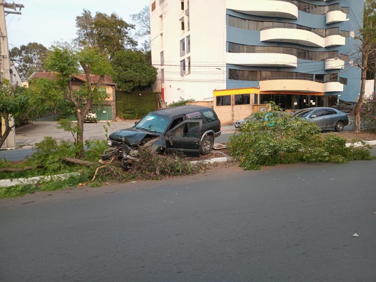 Desvió un perro y chocó contra el paseo central de la avenida Argaña