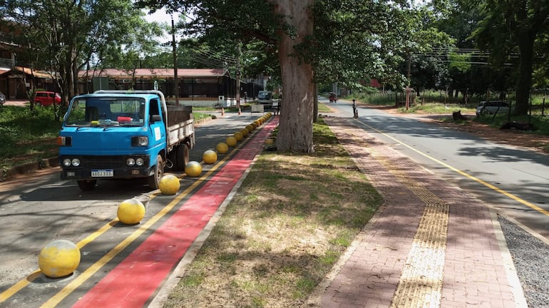 La calle Victorio Curiel tiene una sección inconstante por lo que era imposible fijar la bicisenda dentro del paseo.