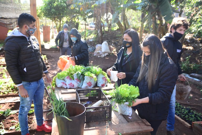 La huerta creada en el vivero municipal provee a 10 ollas populares.