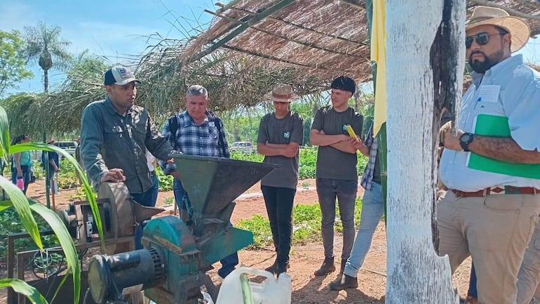 La elaboración de balanceados utilizando la producción de maíz y maní y otros rubros agrícolas.