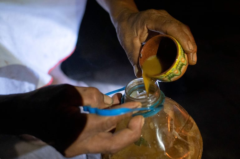 Los nativos Cofán Avie en Ecuador son considerados como los maestros de la ayahuasca, una planta medicinal alucinógena y puerta de entrada "al mundo de los espíritus". Foto: AFP.