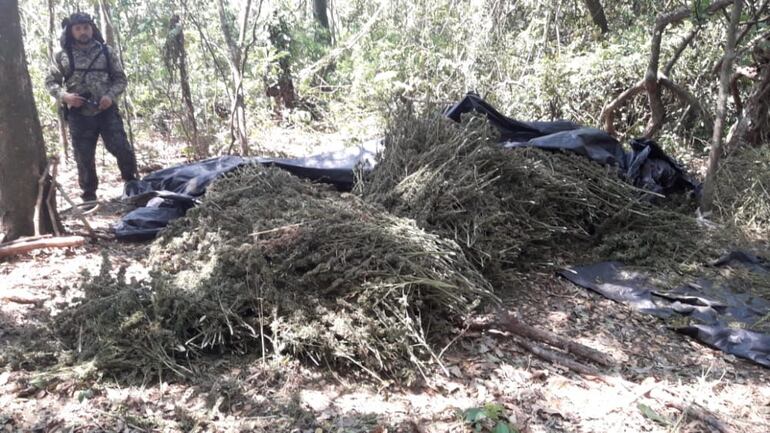 La operación fue considerada de alto riesgo.