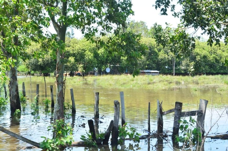 Unas 32 familias sufren la inundación de sus viviendas en el Asentamiento Martin Rolón de San Ignacio, Misiones.