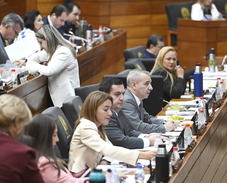 La Cámara de Diputados sancionó dos préstamos por un total de US$ 120 millones para la ANDE.