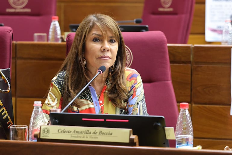 La senadora Celeste Amarilla (PLRA) espera que la diputada Cristina Villalba (ANR, HC) aclare su supuesto vínculo con el crimen organizado.