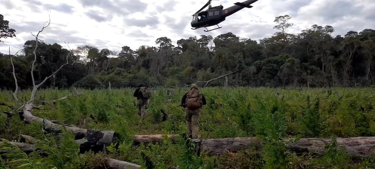 Incursión aérea realizada en Cerro Kuatiá por elementos de la Senad, la FTC y la Policía Federal de Brasil.