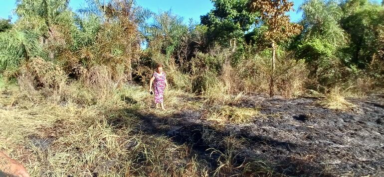 señora caminando en zona de incendio apagado