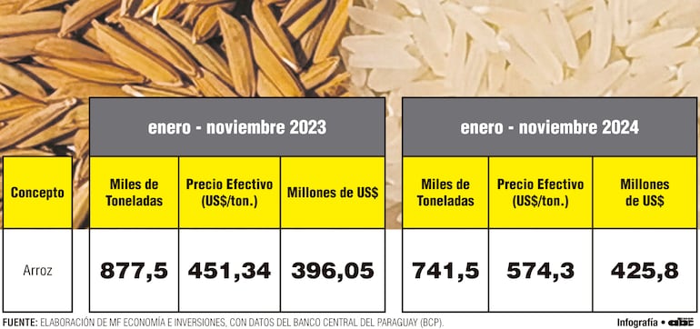 Arroz 2023 - 2024