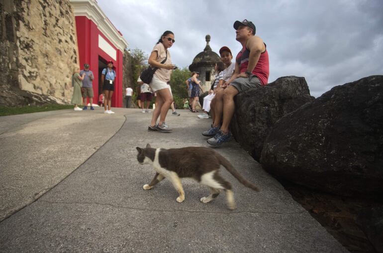 Un gato mientras camina frente a un grupo de turistas en la muralla del barrio colonial del Viejo San Juan en Puerto Rico.