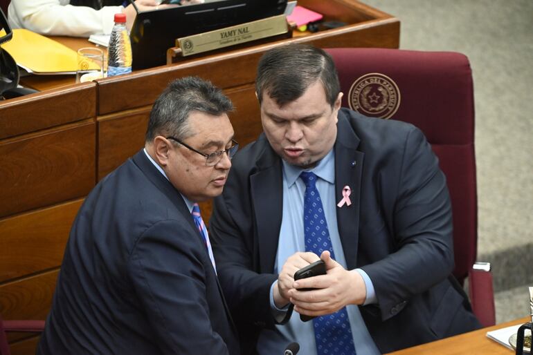 Los senadores Gustavo Leite (ANR, cartista) y Dionisio Amarilla conversan animadamente en la Cámara de Senadores.