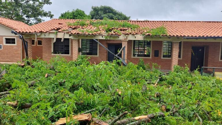 La escuela básica N°116 República El Salvador del distrito de General Caballero está con peligro de derrumbe tras temporal que derribó un árbol y cayó sobre la estructura de la institución.