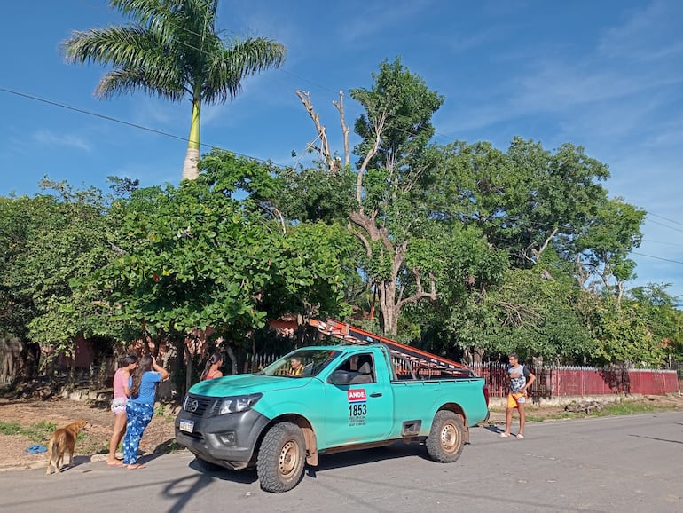 En el barrio Virgen del Rosario la Ande cortó el suministro de energía para bajar el cuerpo del árbol