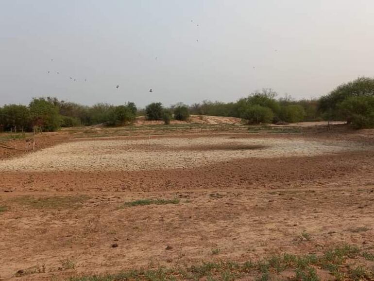 Las altas temperaturas logran evaporar las aguas de los tajamares.