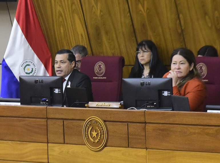 Félix Sosa, presidente de la ANDE, en la Comisión Bicameral de Presupuesto del Congreso.