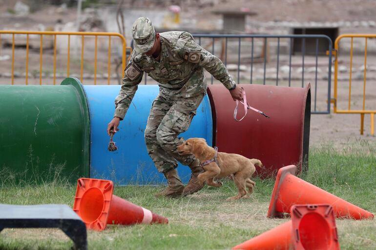 Soldados trabajan en el adiestramiento de cachorros en el departamento de adiestramiento canino de la Fuerza Aérea del Perú, en la base Las Palmas, en Lima (Perú). 