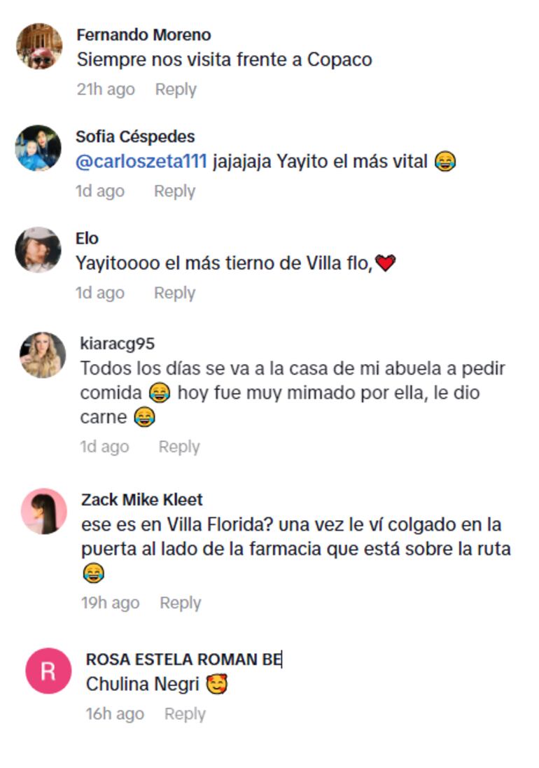 Comentarios sobre "Yayito" o "Negri" en TikTok.