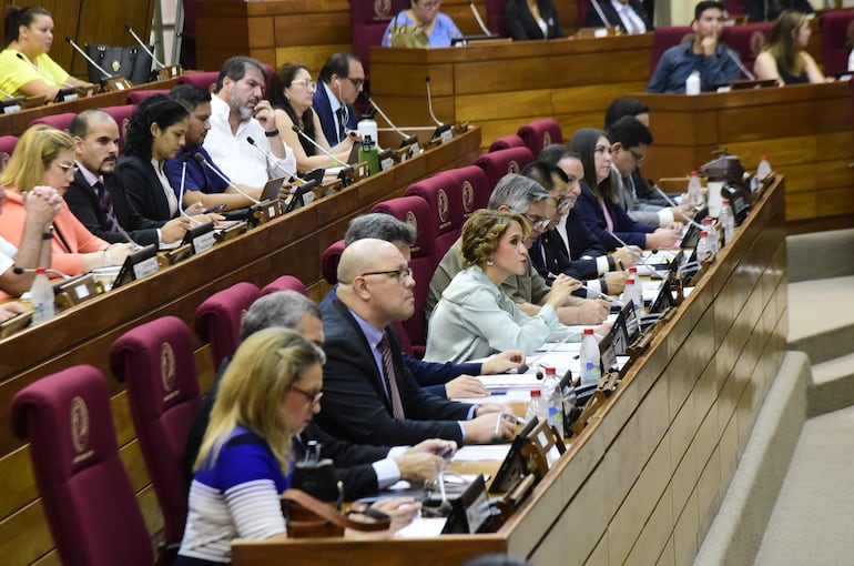 La audiencia pública se desarrolló en el Congreso y fue convocado por los diputados colorados Mauricio Espínola, Luis González Vaesken y Hugo Meza.