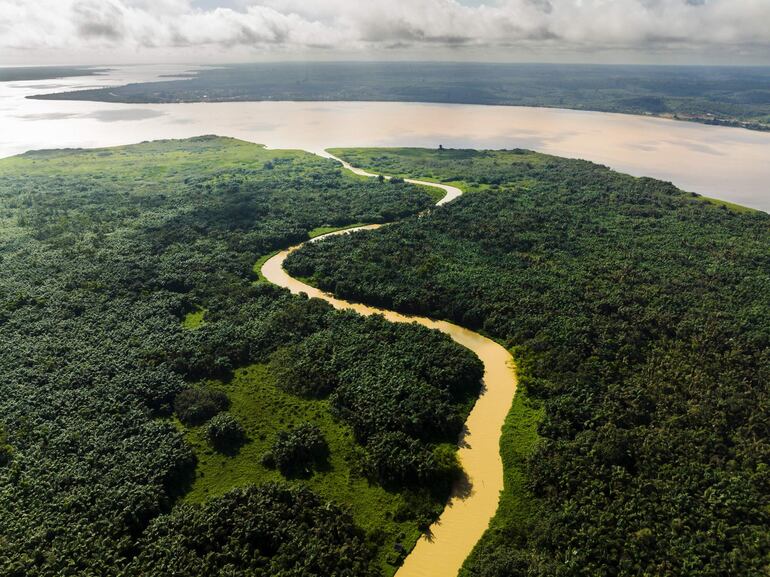 Vista aérea de la confluencia del río Tanoé con la laguna Ehy en el bosque de Tanoé-Ehy, en el sudeste de Costa de Marfil. © Rolex/Nyani Quarmyne.
