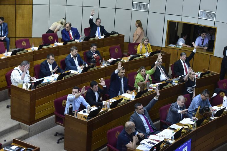 Sesión extraordinaria en la Cámara de Senadores.