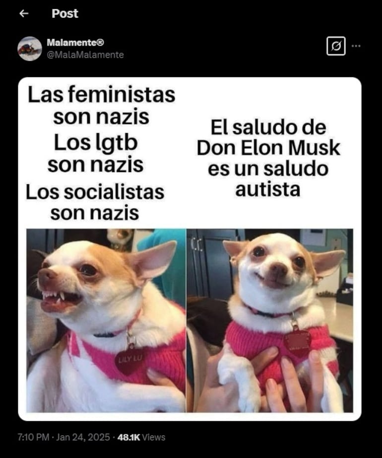 "No es nazismo, es autismo"