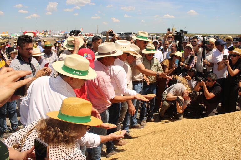 El presidente de la república Santiago Peña, verifica la producción de arroz rodeado de productores de la zona de Villa Franca.