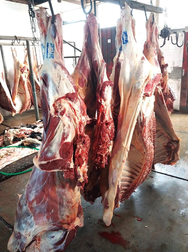 Se incautaron 1.050 kilos de carne de vacuno en el matadero municipal de Paraguarí, tras un supuesto faenamiento clandestino.