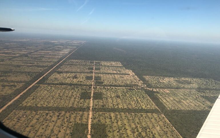 Foto aérea de la estancia Diana, la principal de las siete que posee Darío Messer en nuestro país, a nombre de Chai SA.