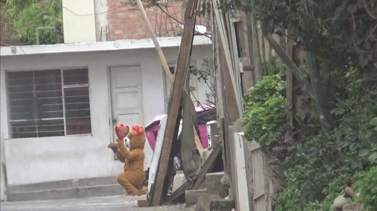 Con el truco de disfrazar a un agente de oso gigante, a modo de regalo de San Valentín, la Policía Nacional de Perú (PNP) logró despistar a una supuesta delincuente que comerciaba drogas y detenerla.